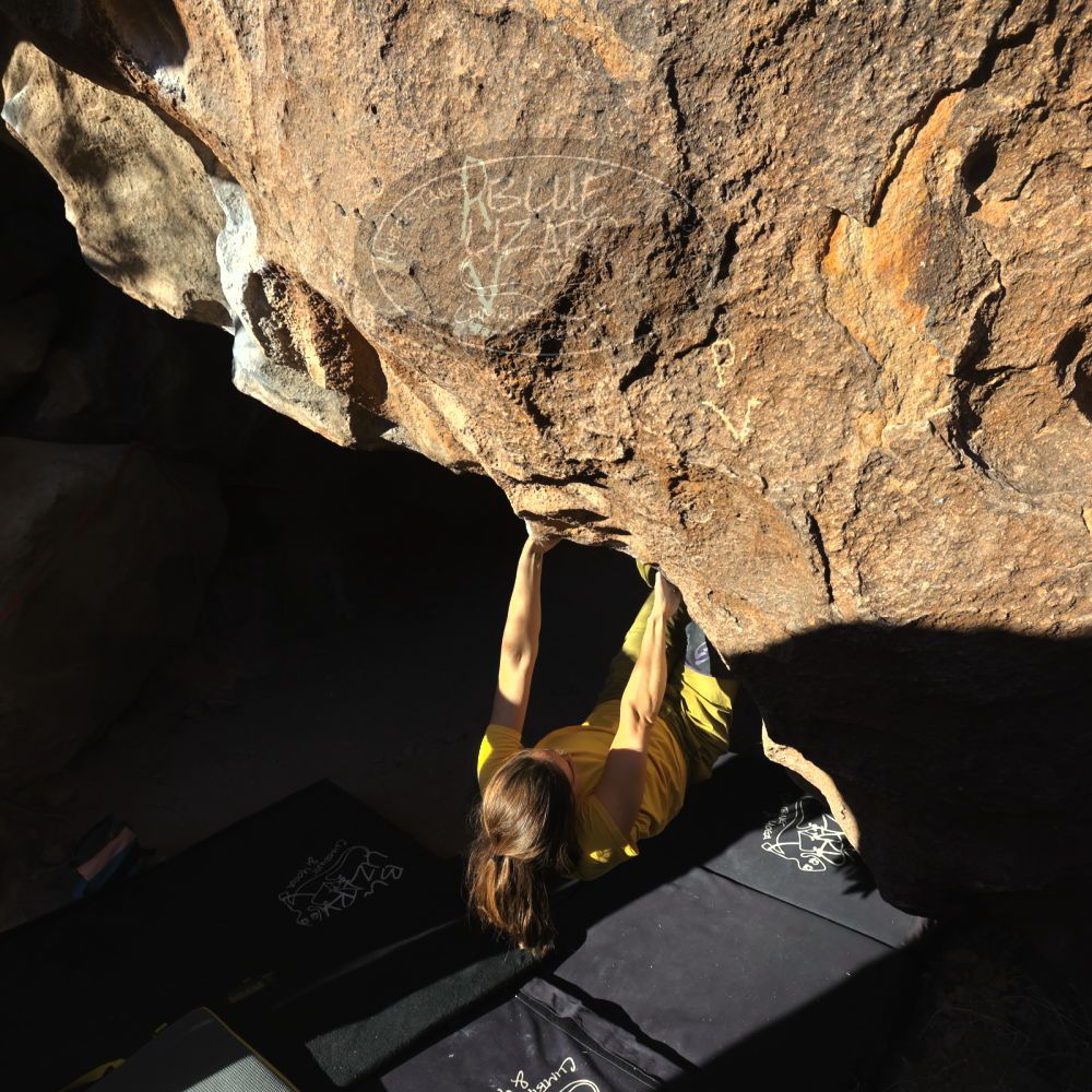 

Filename: SRM_20220113_1546150.jpg
Aperture: f/8.0
Shutter Speed: 1/1000
Body: Canon EOS R6
Lens: Canon EF 16-35mm f/2.8 L