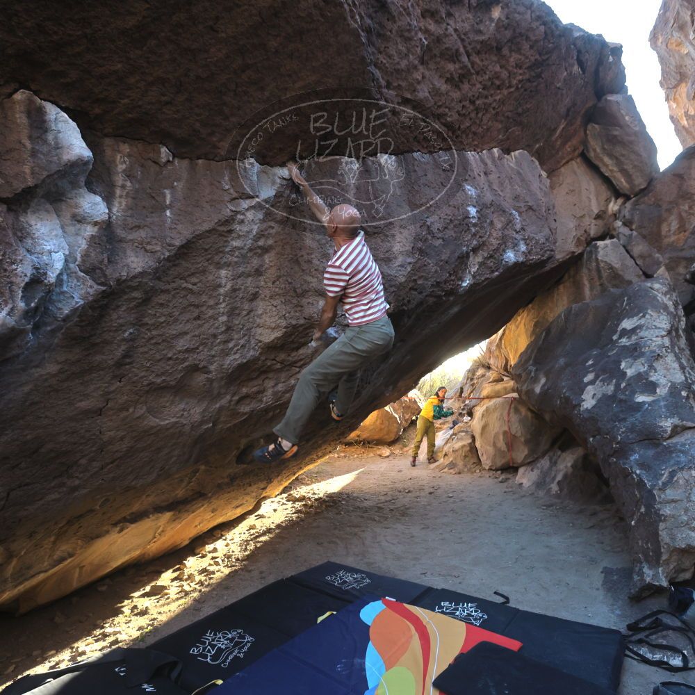 

Filename: SRM_20220113_1554120.jpg
Aperture: f/5.6
Shutter Speed: 1/500
Body: Canon EOS R6
Lens: Canon EF 16-35mm f/2.8 L