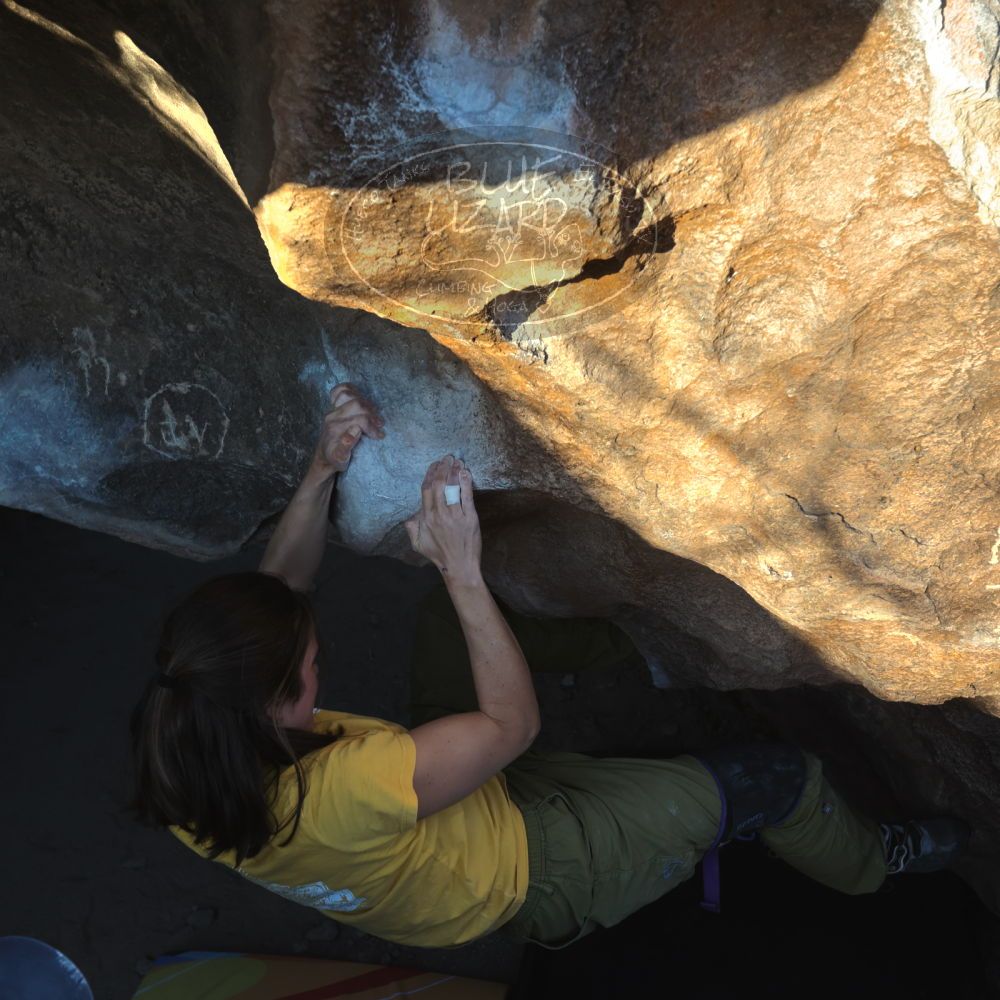 

Filename: SRM_20220113_1623170.jpg
Aperture: f/5.6
Shutter Speed: 1/500
Body: Canon EOS R6
Lens: Canon EF 16-35mm f/2.8 L