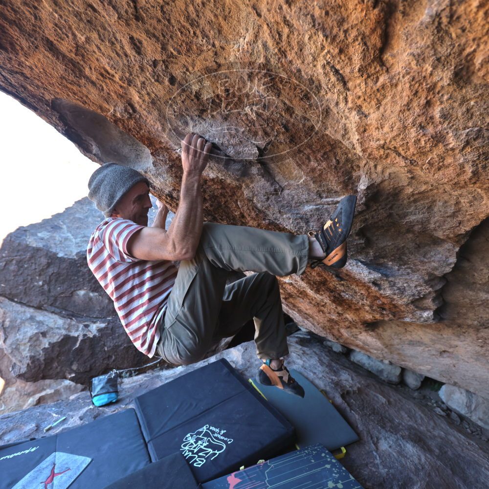 

Filename: SRM_20220114_1151140.jpg
Aperture: f/4.0
Shutter Speed: 1/320
Body: Canon EOS R6
Lens: Canon EF 16-35mm f/2.8 L