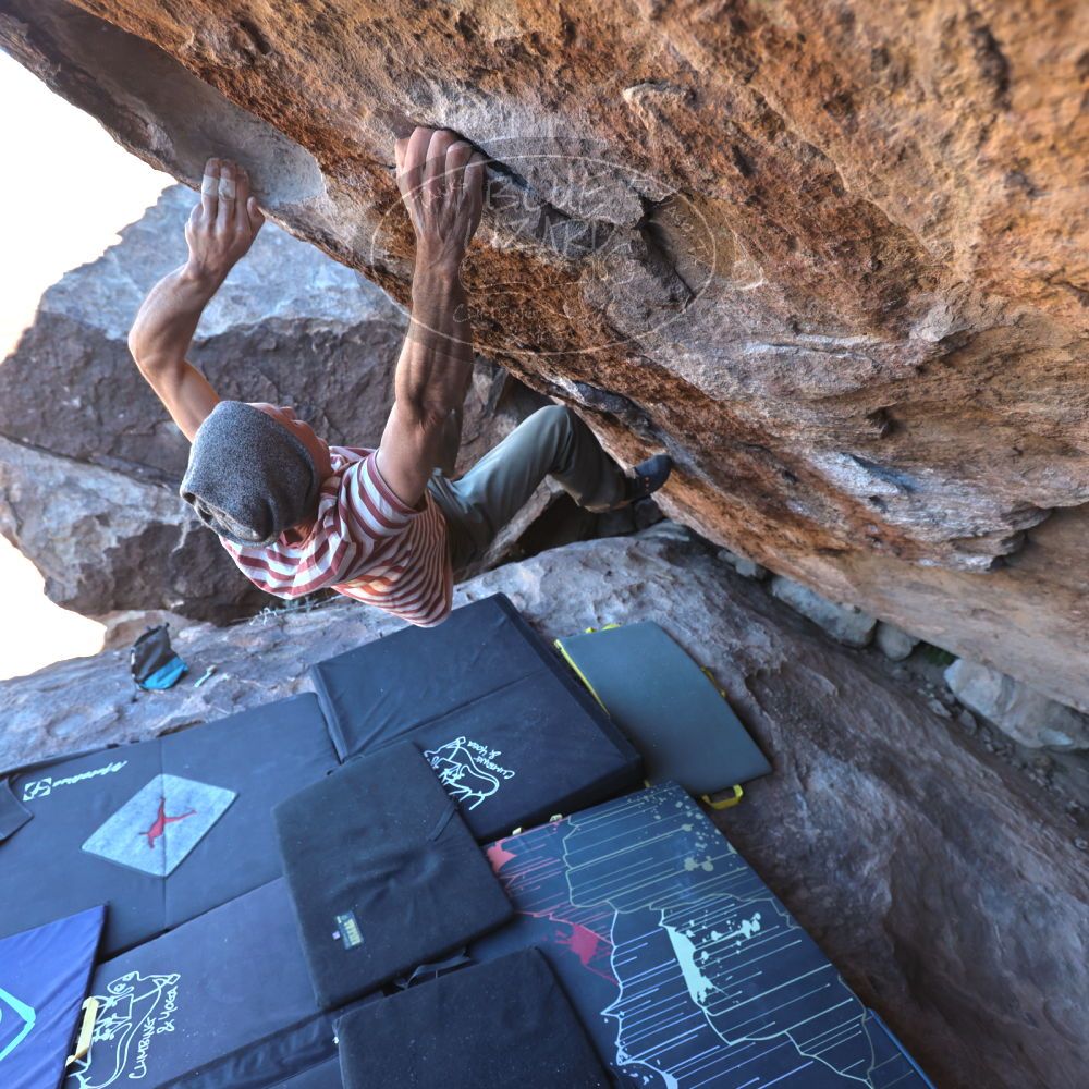 

Filename: SRM_20220114_1208290.jpg
Aperture: f/4.0
Shutter Speed: 1/500
Body: Canon EOS R6
Lens: Canon EF 16-35mm f/2.8 L