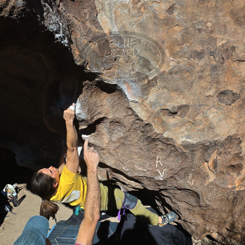 

Filename: SRM_20220114_1324440.jpg
Aperture: f/8.0
Shutter Speed: 1/1000
Body: Canon EOS R6
Lens: Canon EF 16-35mm f/2.8 L