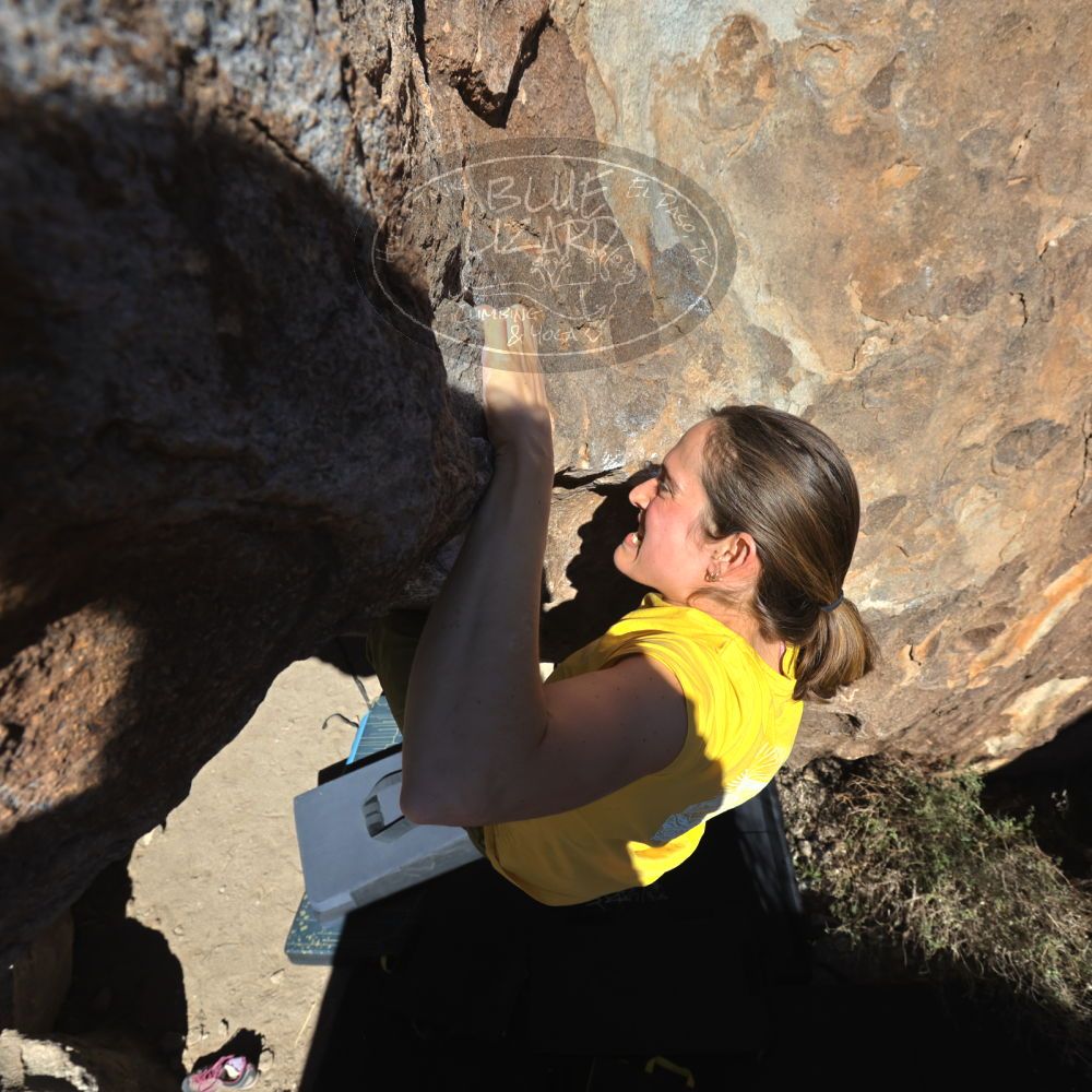 

Filename: SRM_20220114_1306140.jpg
Aperture: f/8.0
Shutter Speed: 1/1000
Body: Canon EOS R6
Lens: Canon EF 16-35mm f/2.8 L