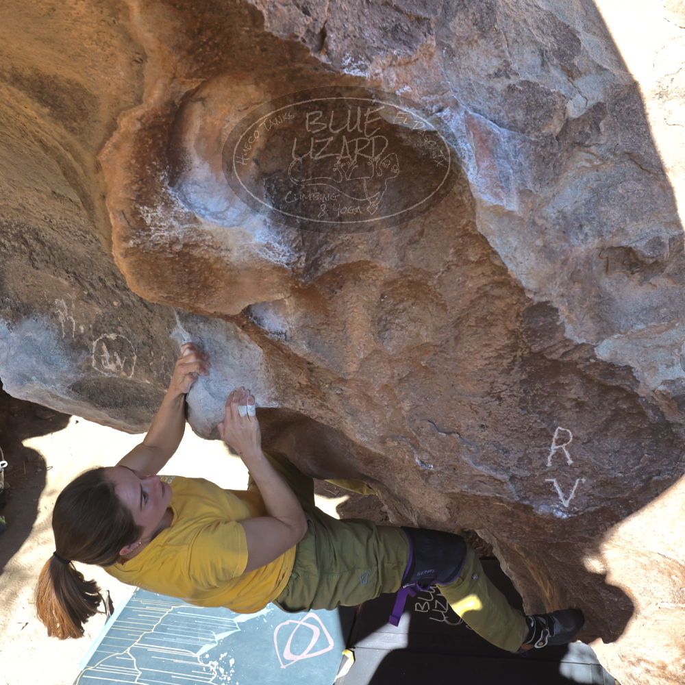 

Filename: SRM_20220114_1359060.jpg
Aperture: f/8.0
Shutter Speed: 1/1000
Body: Canon EOS R6
Lens: Canon EF 16-35mm f/2.8 L