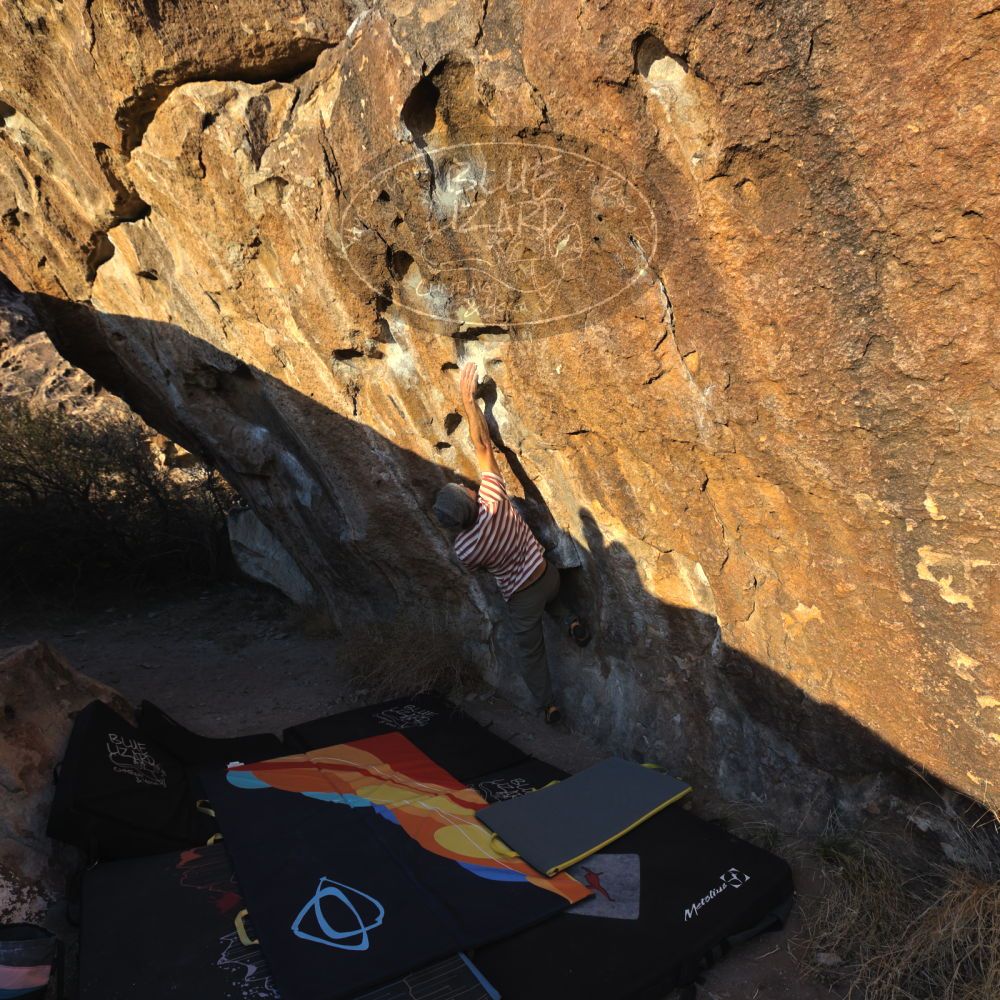 

Filename: SRM_20220114_1644270.jpg
Aperture: f/5.6
Shutter Speed: 1/400
Body: Canon EOS R6
Lens: Canon EF 16-35mm f/2.8 L