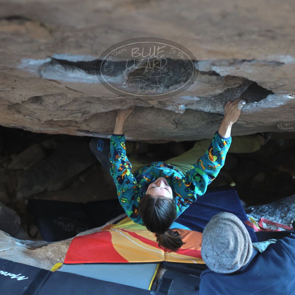 

Filename: SRM_20220114_1552160.jpg
Aperture: f/2.8
Shutter Speed: 1/200
Body: Canon EOS R6
Lens: Canon EF 50mm f/1.8 II