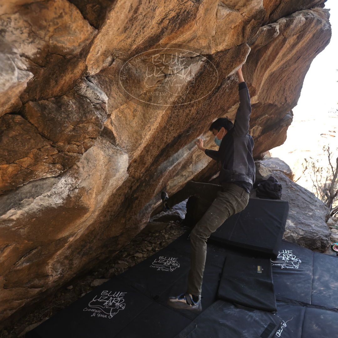 

Filename: SRM_20220123_1106531.jpg
Aperture: f/4.0
Shutter Speed: 1/400
Body: Canon EOS R6
Lens: Canon EF 16-35mm f/2.8 L