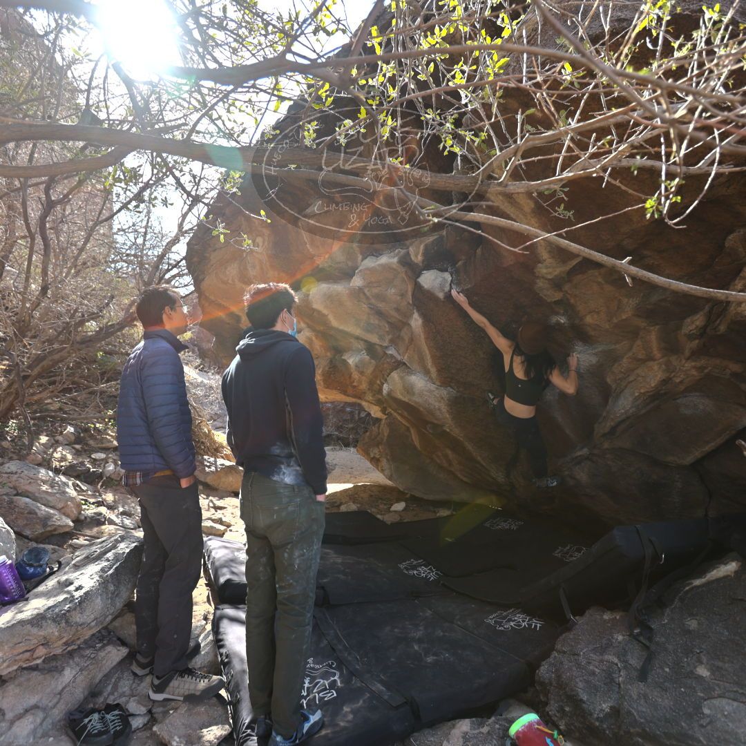 

Filename: SRM_20220123_1117420.jpg
Aperture: f/4.0
Shutter Speed: 1/400
Body: Canon EOS R6
Lens: Canon EF 16-35mm f/2.8 L