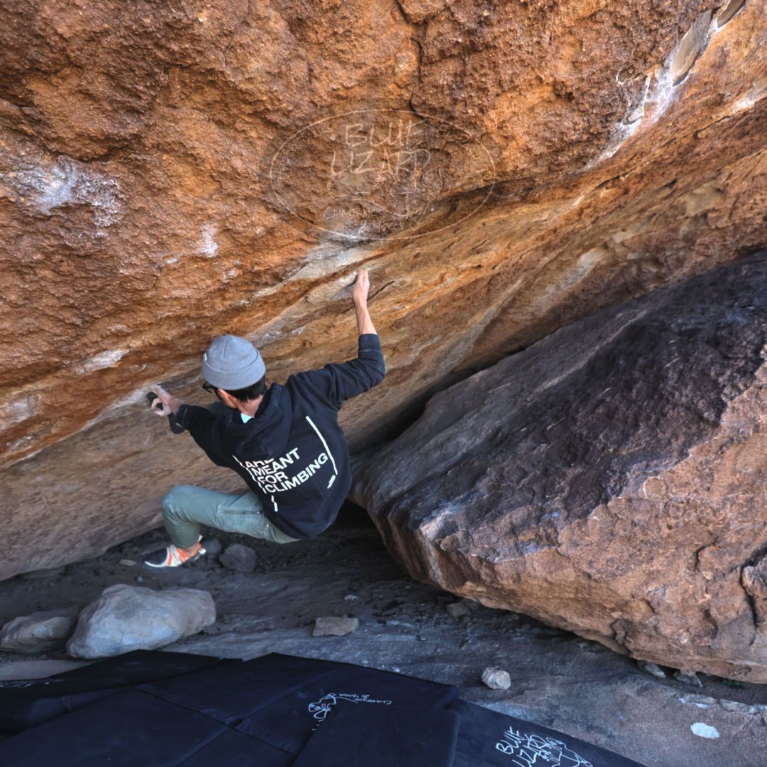 

Filename: SRM_20220123_1138390.jpg
Aperture: f/4.0
Shutter Speed: 1/400
Body: Canon EOS R6
Lens: Canon EF 16-35mm f/2.8 L