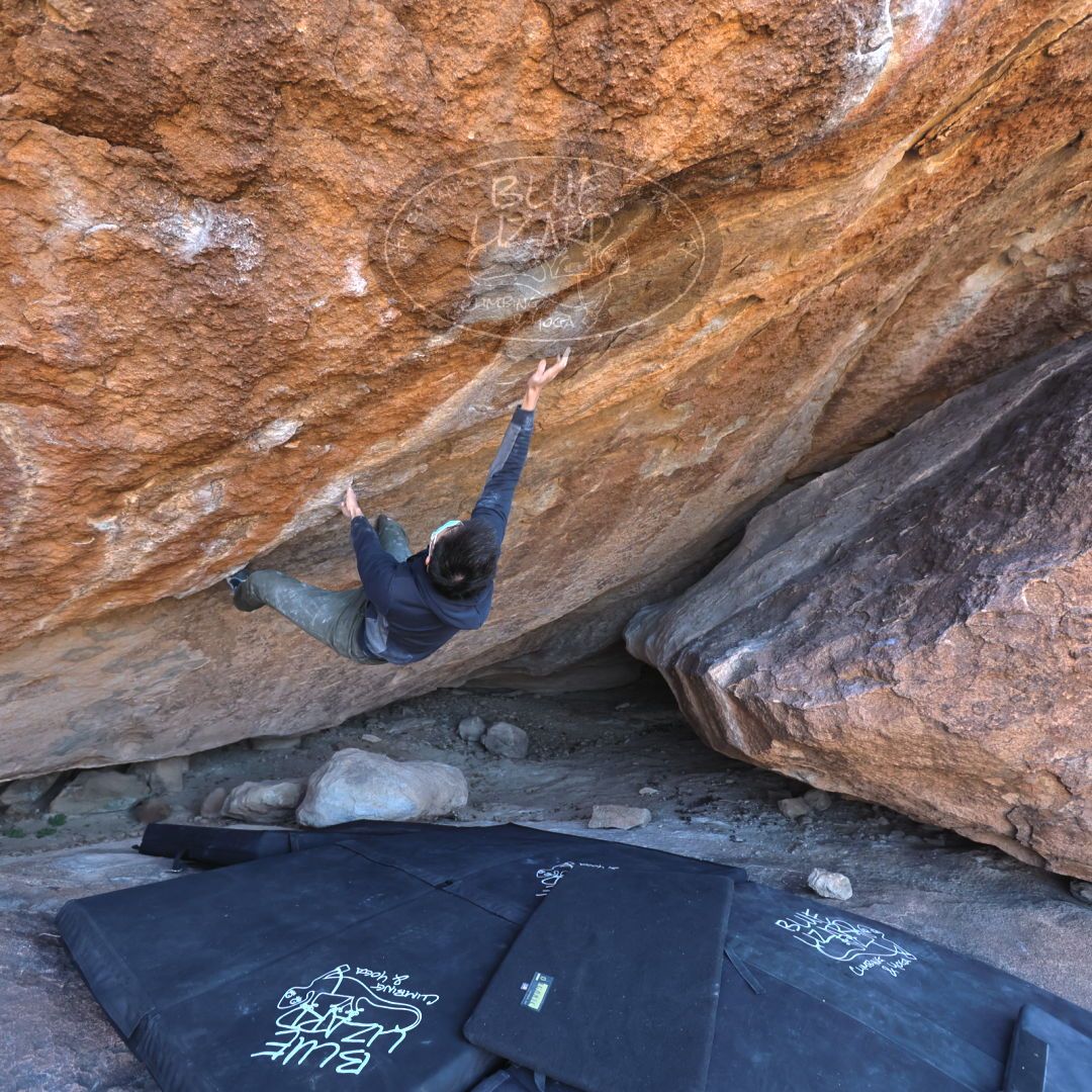 

Filename: SRM_20220123_1142470.jpg
Aperture: f/4.0
Shutter Speed: 1/400
Body: Canon EOS R6
Lens: Canon EF 16-35mm f/2.8 L