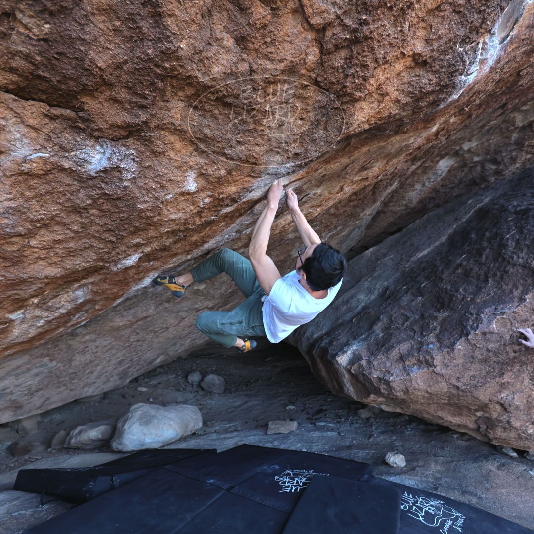 

Filename: SRM_20220123_1212030.jpg
Aperture: f/4.0
Shutter Speed: 1/400
Body: Canon EOS R6
Lens: Canon EF 16-35mm f/2.8 L