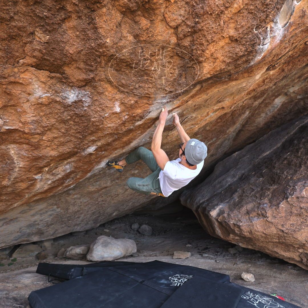

Filename: SRM_20220123_1225430.jpg
Aperture: f/4.0
Shutter Speed: 1/400
Body: Canon EOS R6
Lens: Canon EF 16-35mm f/2.8 L