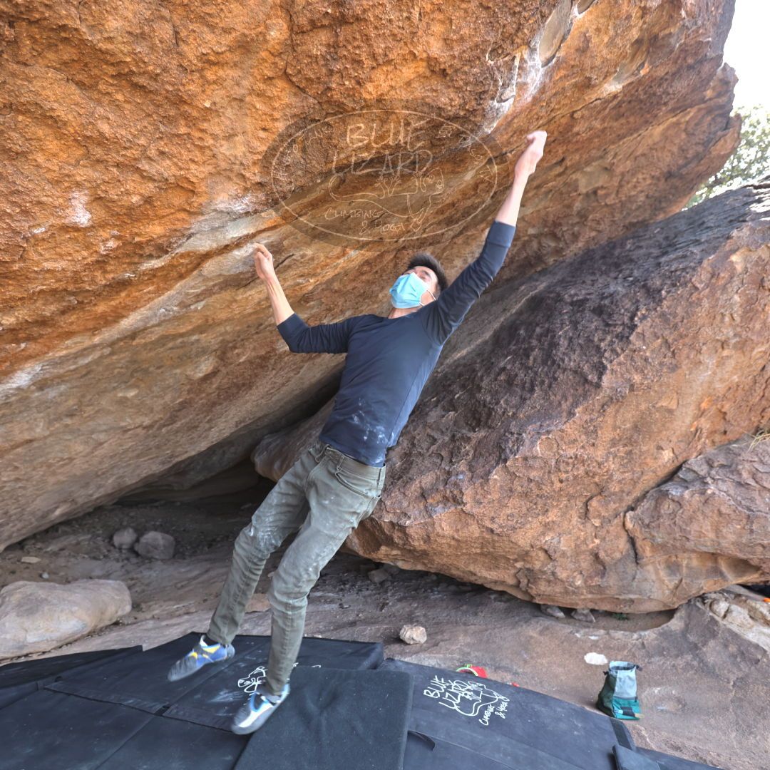 

Filename: SRM_20220123_1242180.jpg
Aperture: f/4.0
Shutter Speed: 1/400
Body: Canon EOS R6
Lens: Canon EF 16-35mm f/2.8 L