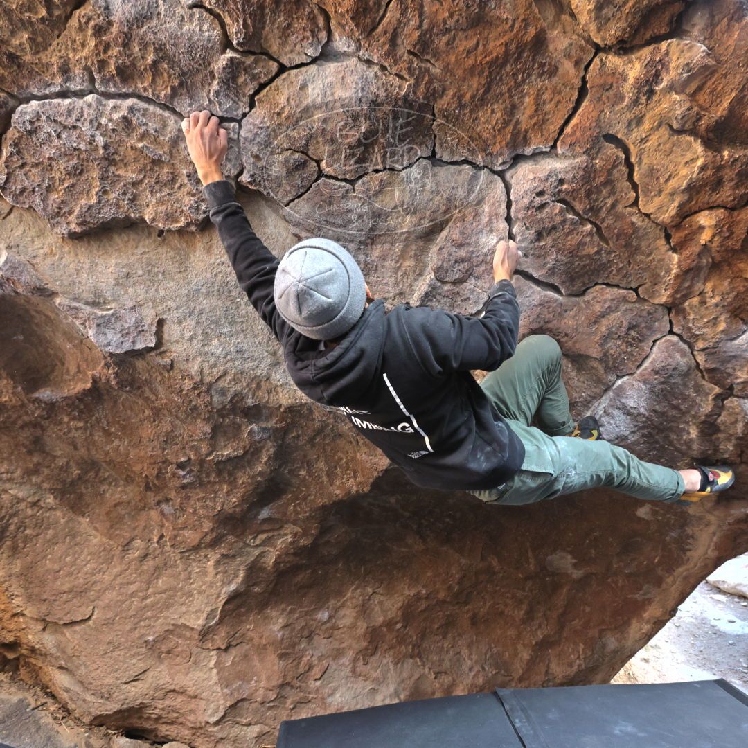 

Filename: SRM_20220123_1438240.jpg
Aperture: f/5.6
Shutter Speed: 1/250
Body: Canon EOS R6
Lens: Canon EF 16-35mm f/2.8 L