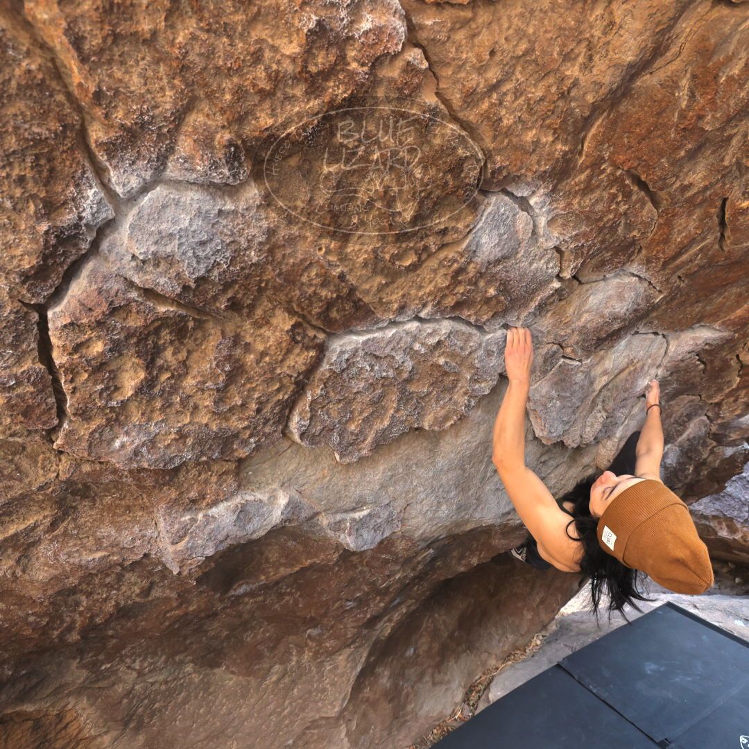 

Filename: SRM_20220123_1439330.jpg
Aperture: f/5.6
Shutter Speed: 1/250
Body: Canon EOS R6
Lens: Canon EF 16-35mm f/2.8 L