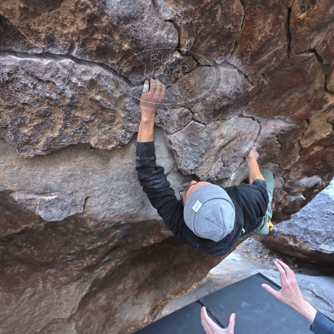 

Filename: SRM_20220123_1444520.jpg
Aperture: f/5.6
Shutter Speed: 1/250
Body: Canon EOS R6
Lens: Canon EF 16-35mm f/2.8 L