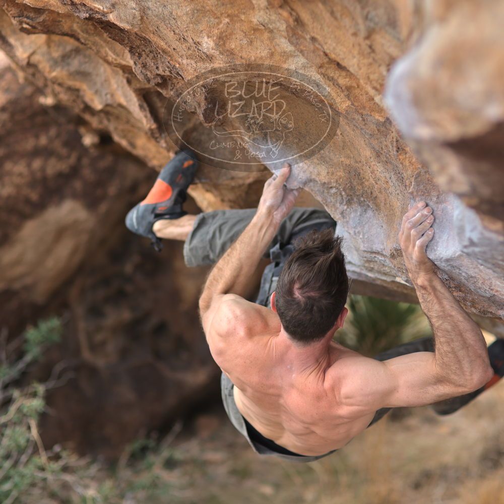 

Filename: SRM_20220130_1314170.jpg
Aperture: f/2.0
Shutter Speed: 1/1250
Body: Canon EOS R6
Lens: Canon EF 85mm f/1.2 L II