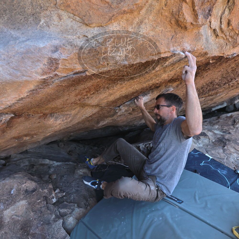 

Filename: SRM_20220130_1437393.jpg
Aperture: f/5.6
Shutter Speed: 1/640
Body: Canon EOS R6
Lens: Canon EF 16-35mm f/2.8 L