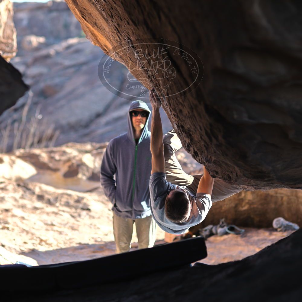 

Filename: SRM_20220130_1535350.jpg
Aperture: f/2.5
Shutter Speed: 1/800
Body: Canon EOS R6
Lens: Canon EF 85mm f/1.2 L II