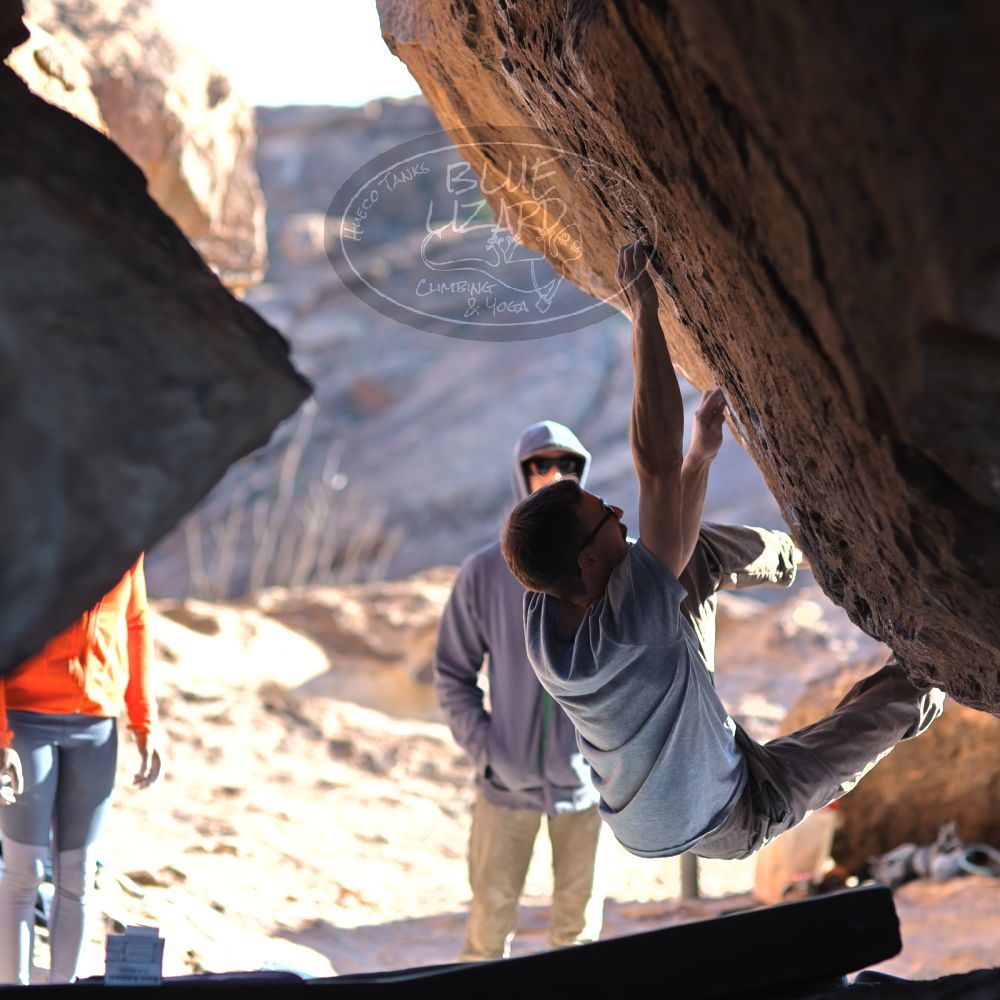 

Filename: SRM_20220130_1535410.jpg
Aperture: f/2.5
Shutter Speed: 1/800
Body: Canon EOS R6
Lens: Canon EF 85mm f/1.2 L II