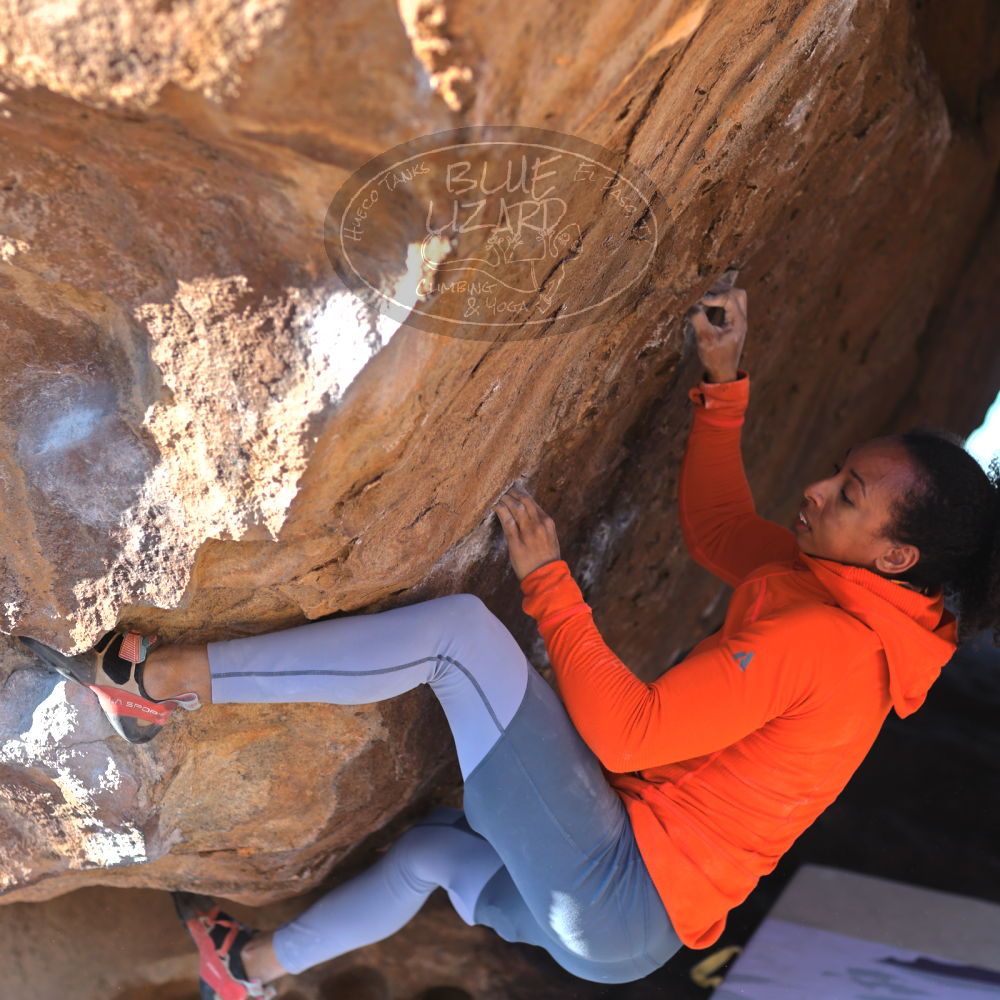 

Filename: SRM_20220130_1549040.jpg
Aperture: f/2.8
Shutter Speed: 1/800
Body: Canon EOS R6
Lens: Canon EF 85mm f/1.2 L II