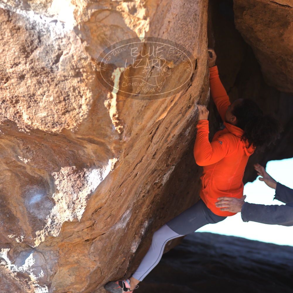 

Filename: SRM_20220130_1549190.jpg
Aperture: f/2.8
Shutter Speed: 1/800
Body: Canon EOS R6
Lens: Canon EF 85mm f/1.2 L II