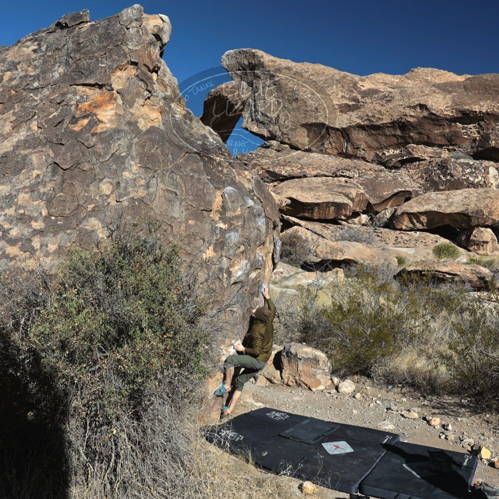 

Filename: SRM_20220206_0938400.jpg
Aperture: f/8.0
Shutter Speed: 1/320
Body: Canon EOS R6
Lens: Canon EF 16-35mm f/2.8 L