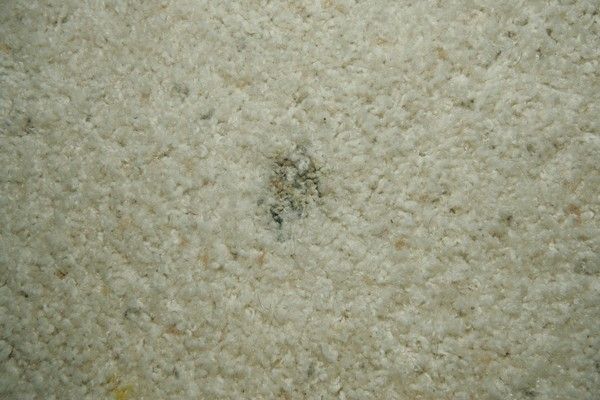 Condominium hunting with Beth.

Filename: SRM_20070411_1817509.jpg
Aperture: f/8.0
Shutter Speed: 1/200
Body: Canon EOS-1D Mark II
Lens: Sigma 15-30mm f/3.5-4.5 EX Aspherical DG DF