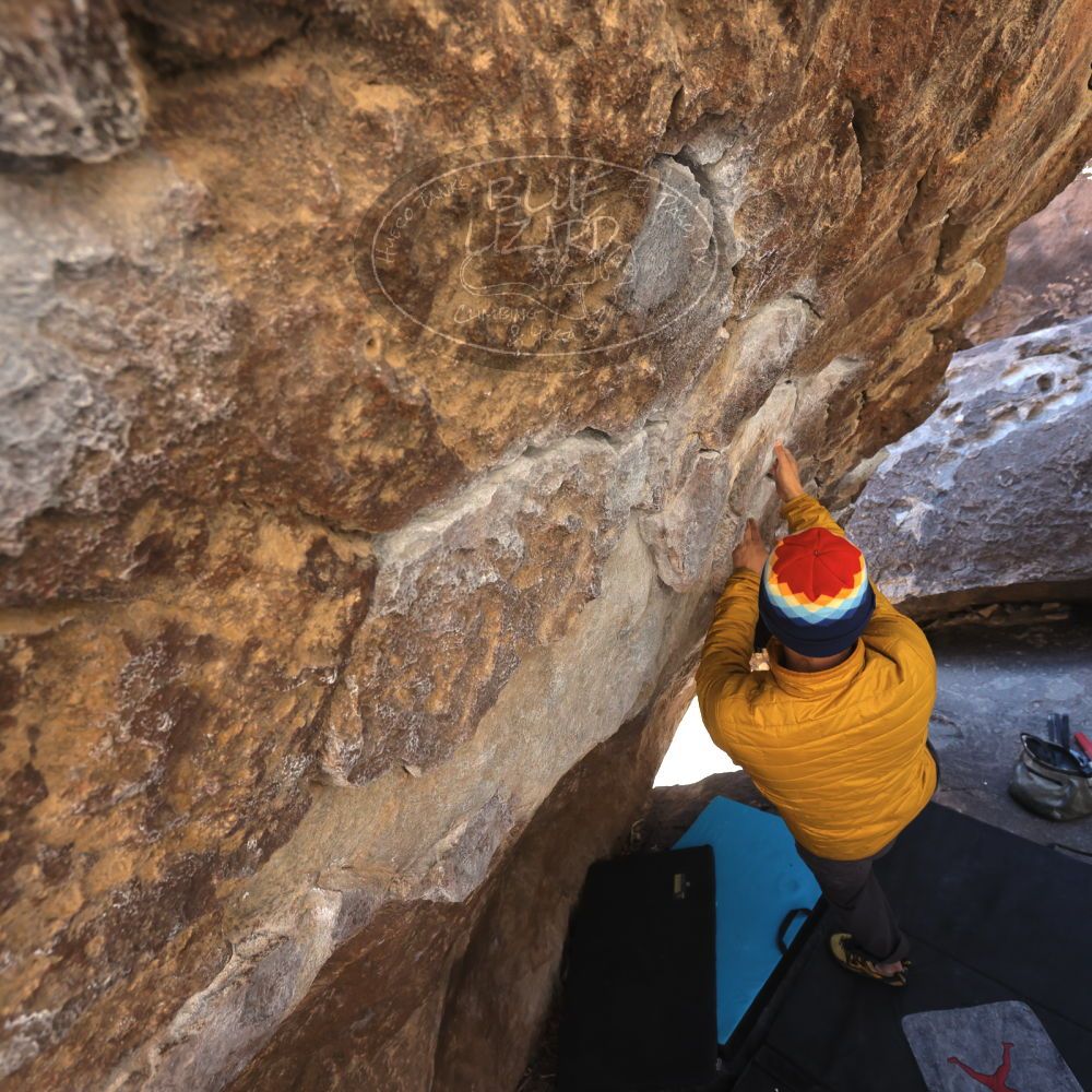 

Filename: SRM_20220206_1043350.jpg
Aperture: f/5.6
Shutter Speed: 1/320
Body: Canon EOS R6
Lens: Canon EF 16-35mm f/2.8 L