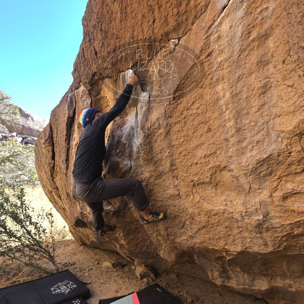 

Filename: SRM_20220206_1100020.jpg
Aperture: f/5.6
Shutter Speed: 1/320
Body: Canon EOS R6
Lens: Canon EF 16-35mm f/2.8 L