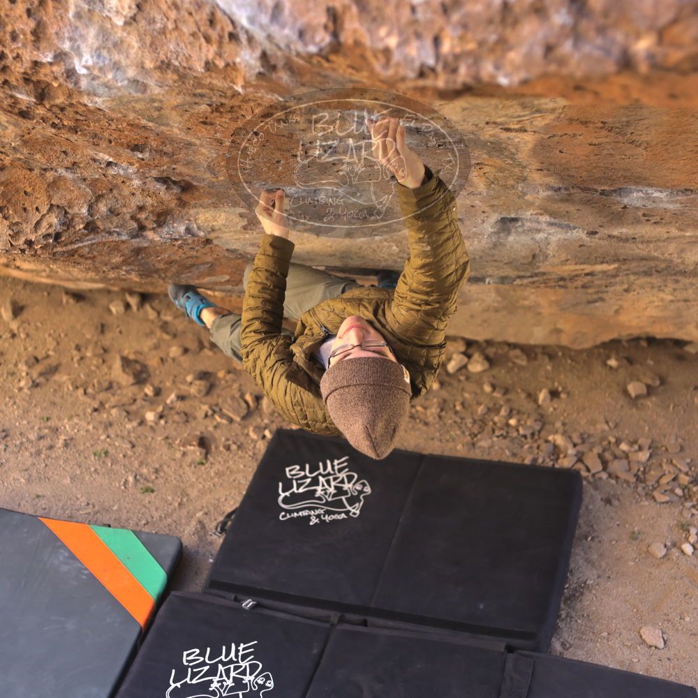 

Filename: SRM_20220206_1229552.jpg
Aperture: f/2.8
Shutter Speed: 1/800
Body: Canon EOS R6
Lens: Canon EF 50mm f/1.8 II