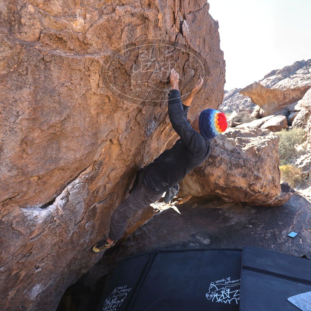 

Filename: SRM_20220206_1425340.jpg
Aperture: f/4.0
Shutter Speed: 1/320
Body: Canon EOS R6
Lens: Canon EF 16-35mm f/2.8 L