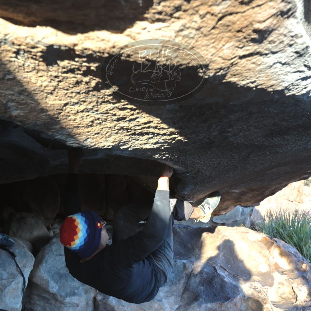 

Filename: SRM_20220206_1656360.jpg
Aperture: f/5.6
Shutter Speed: 1/320
Body: Canon EOS R6
Lens: Canon EF 16-35mm f/2.8 L