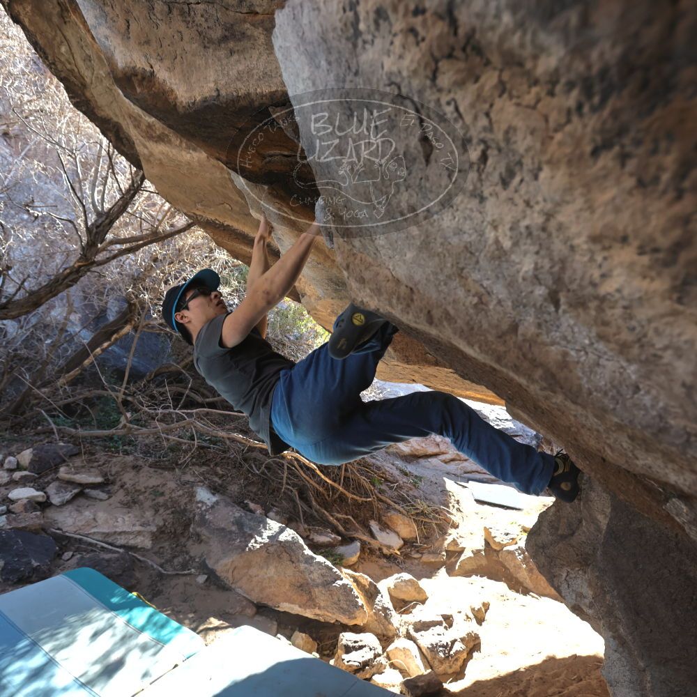 

Filename: SRM_20220211_1053100.jpg
Aperture: f/5.6
Shutter Speed: 1/250
Body: Canon EOS R6
Lens: Canon EF 16-35mm f/2.8 L