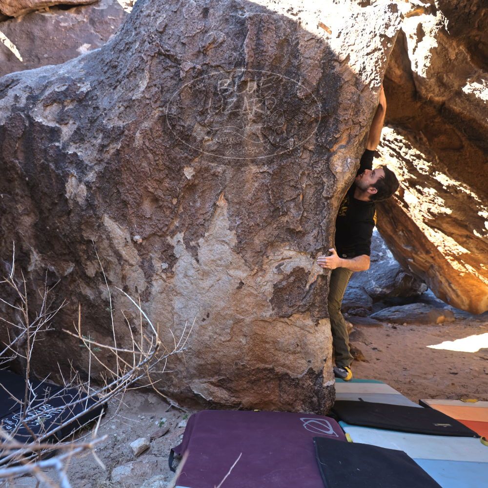 

Filename: SRM_20220211_1109520.jpg
Aperture: f/4.0
Shutter Speed: 1/200
Body: Canon EOS R6
Lens: Canon EF 16-35mm f/2.8 L