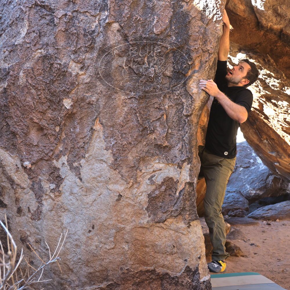 

Filename: SRM_20220211_1110040.jpg
Aperture: f/4.0
Shutter Speed: 1/200
Body: Canon EOS R6
Lens: Canon EF 16-35mm f/2.8 L