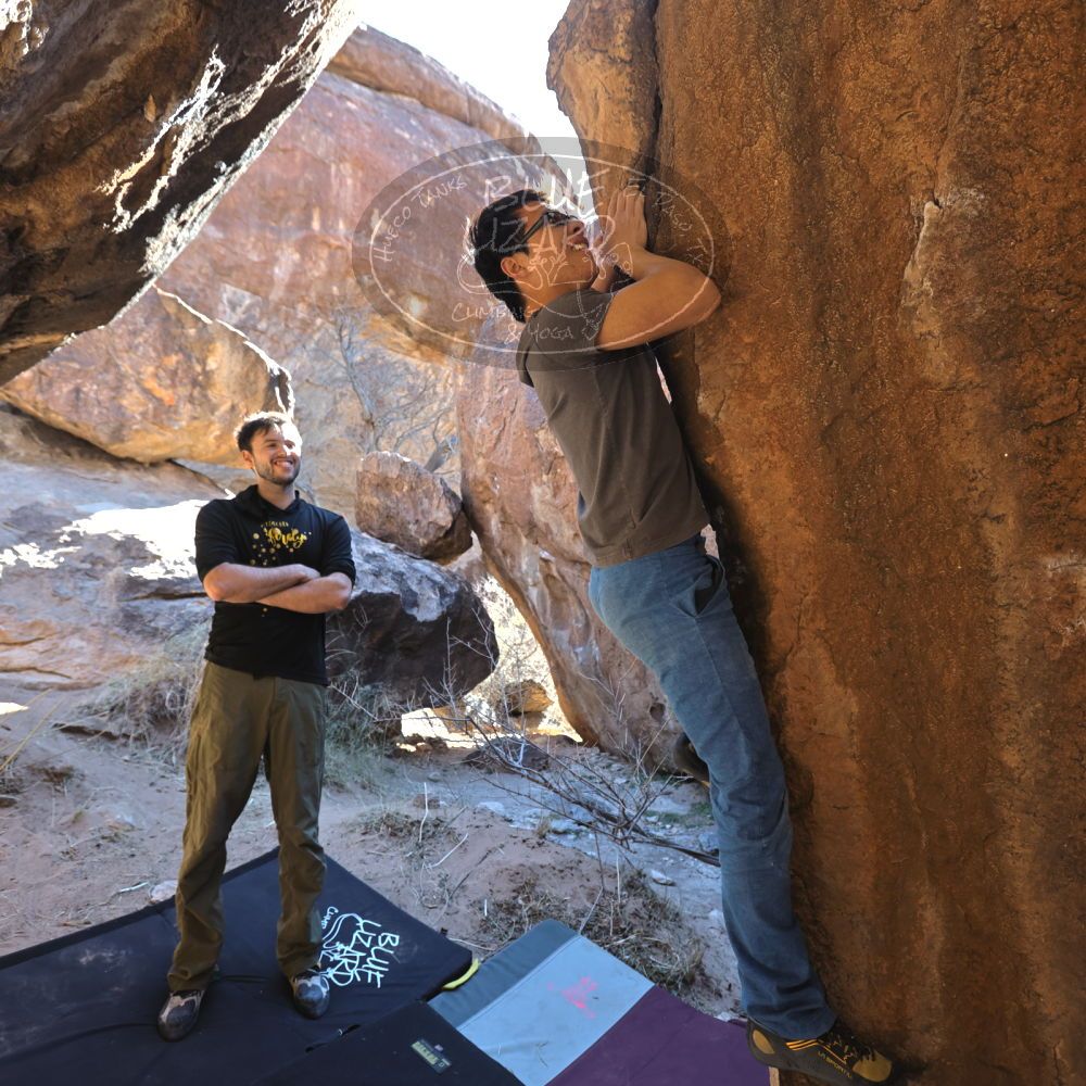 

Filename: SRM_20220211_1111500.jpg
Aperture: f/4.0
Shutter Speed: 1/200
Body: Canon EOS R6
Lens: Canon EF 16-35mm f/2.8 L