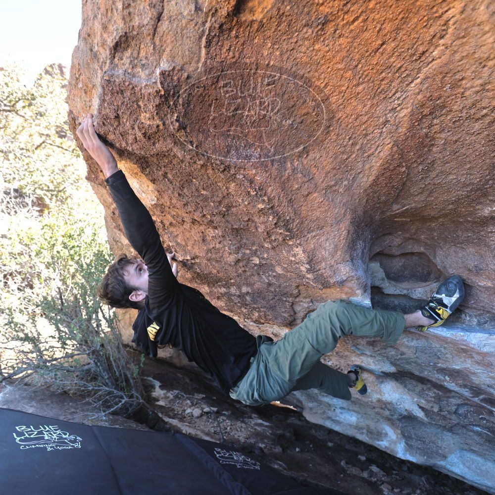 

Filename: SRM_20220211_1251070.jpg
Aperture: f/4.0
Shutter Speed: 1/200
Body: Canon EOS R6
Lens: Canon EF 16-35mm f/2.8 L