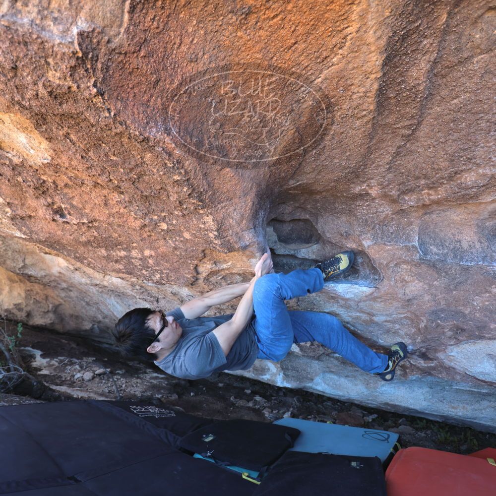 

Filename: SRM_20220211_1253390.jpg
Aperture: f/4.0
Shutter Speed: 1/200
Body: Canon EOS R6
Lens: Canon EF 16-35mm f/2.8 L