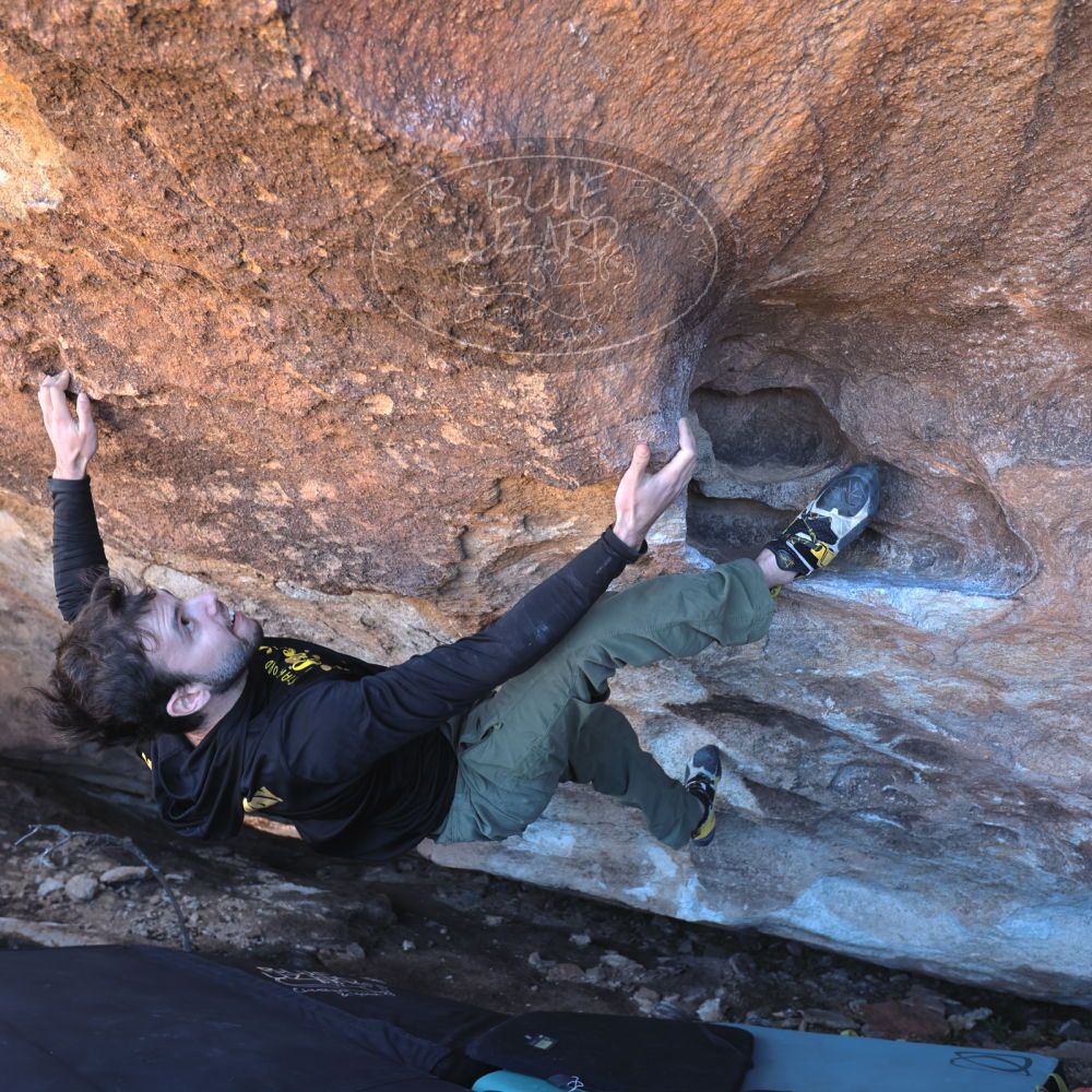 

Filename: SRM_20220211_1257390.jpg
Aperture: f/4.0
Shutter Speed: 1/200
Body: Canon EOS R6
Lens: Canon EF 16-35mm f/2.8 L