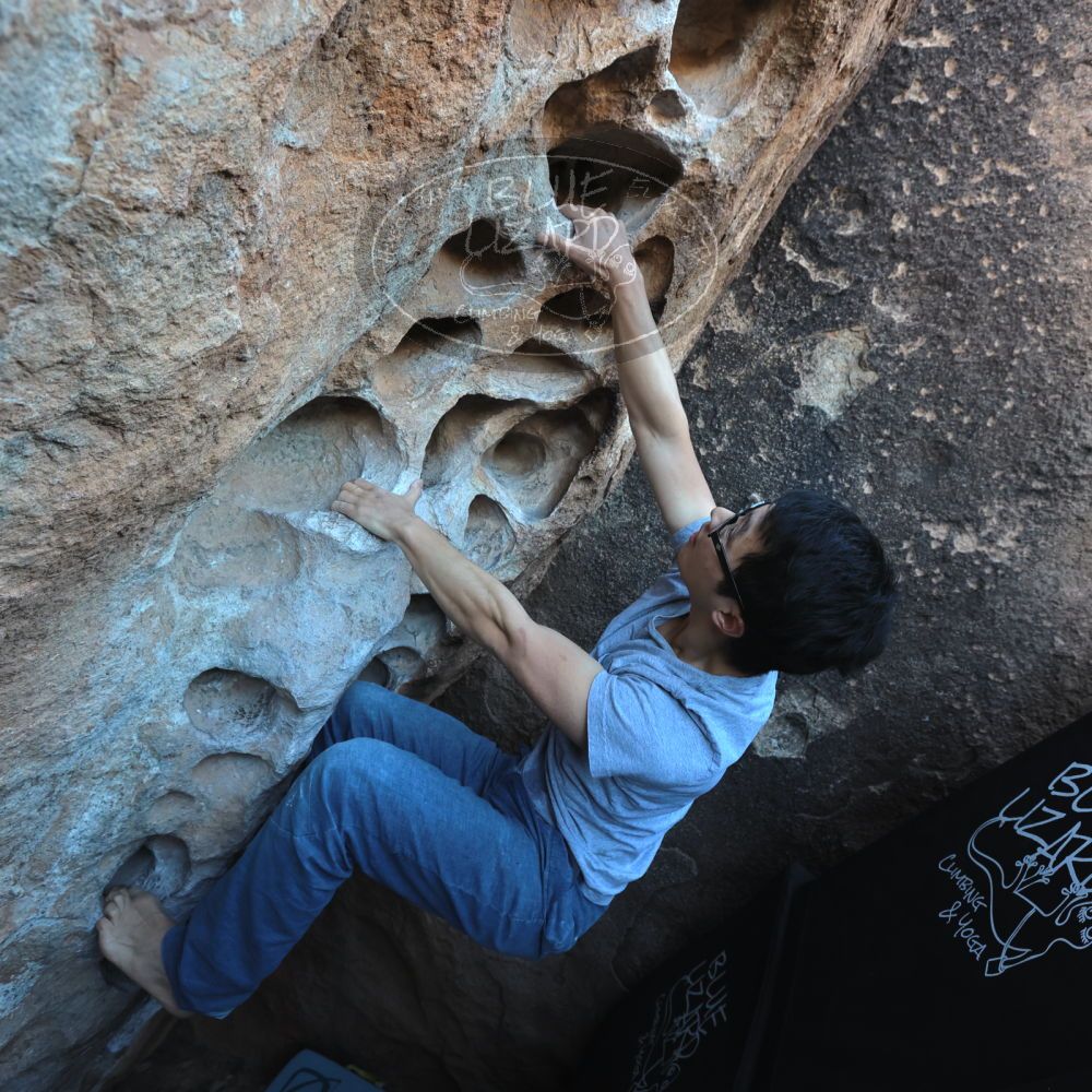 

Filename: SRM_20220213_1024420.jpg
Aperture: f/5.6
Shutter Speed: 1/200
Body: Canon EOS R6
Lens: Canon EF 16-35mm f/2.8 L