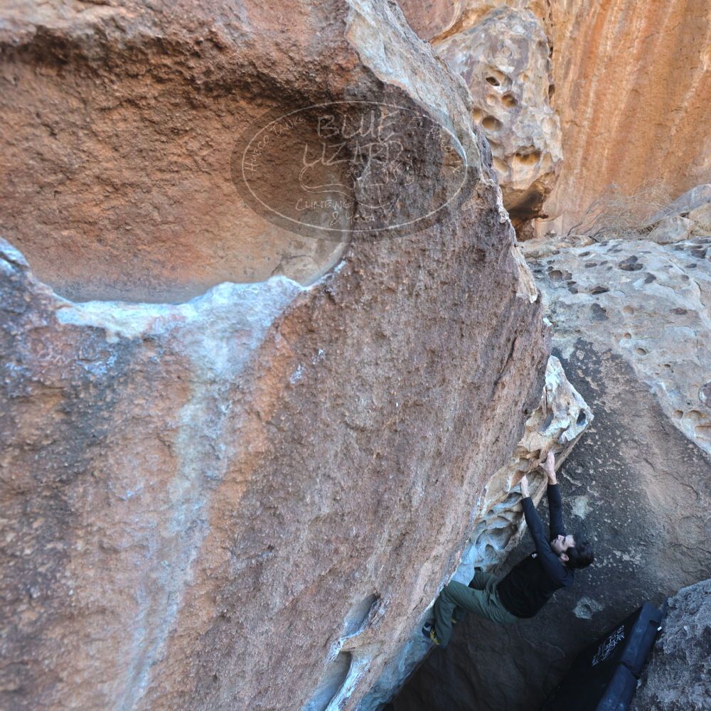 

Filename: SRM_20220213_1031200.jpg
Aperture: f/5.6
Shutter Speed: 1/200
Body: Canon EOS R6
Lens: Canon EF 16-35mm f/2.8 L