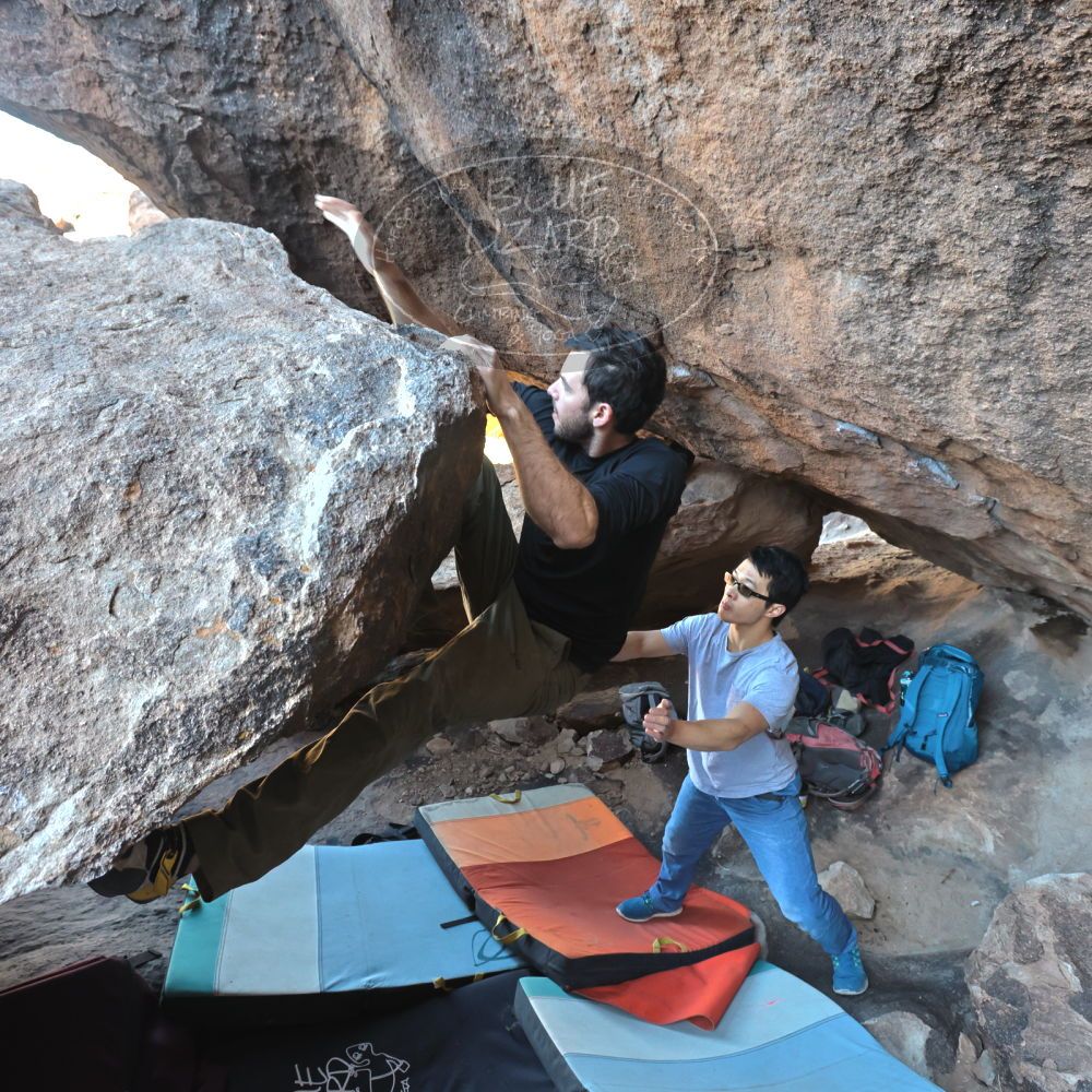 

Filename: SRM_20220213_1046280.jpg
Aperture: f/5.6
Shutter Speed: 1/250
Body: Canon EOS R6
Lens: Canon EF 16-35mm f/2.8 L