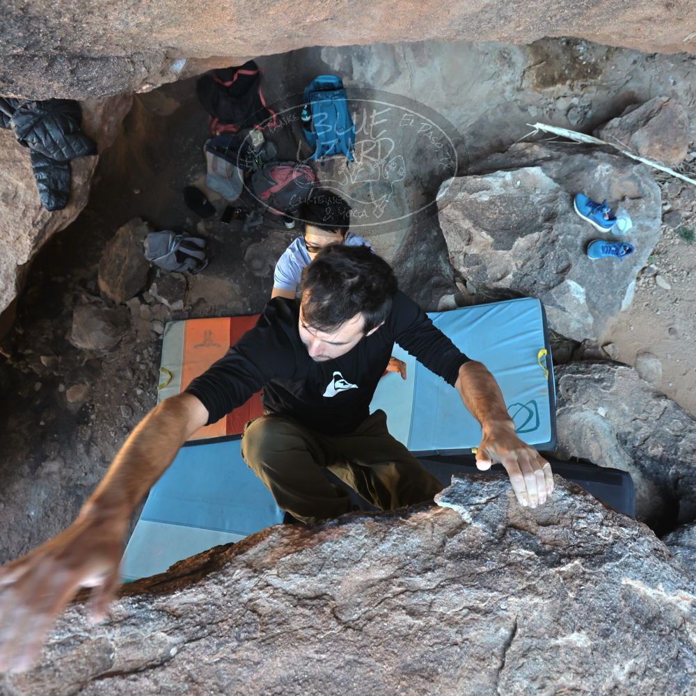 

Filename: SRM_20220213_1052340.jpg
Aperture: f/5.6
Shutter Speed: 1/250
Body: Canon EOS R6
Lens: Canon EF 16-35mm f/2.8 L