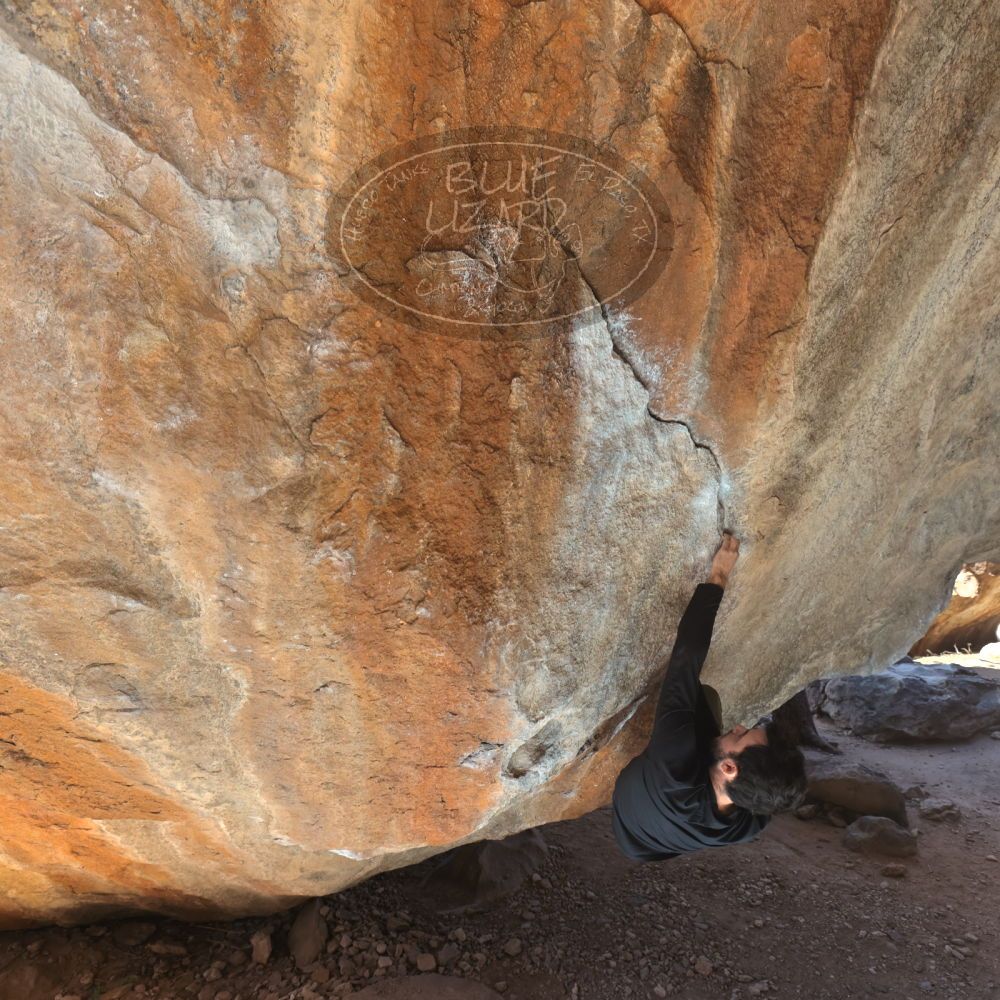 

Filename: SRM_20220213_1131430.jpg
Aperture: f/5.6
Shutter Speed: 1/250
Body: Canon EOS R6
Lens: Canon EF 16-35mm f/2.8 L