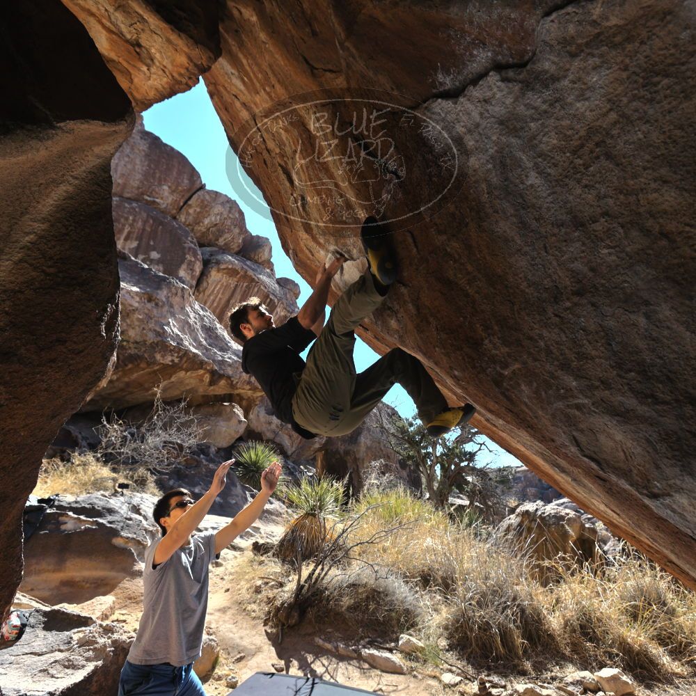 

Filename: SRM_20220213_1145230.jpg
Aperture: f/5.6
Shutter Speed: 1/250
Body: Canon EOS R6
Lens: Canon EF 16-35mm f/2.8 L