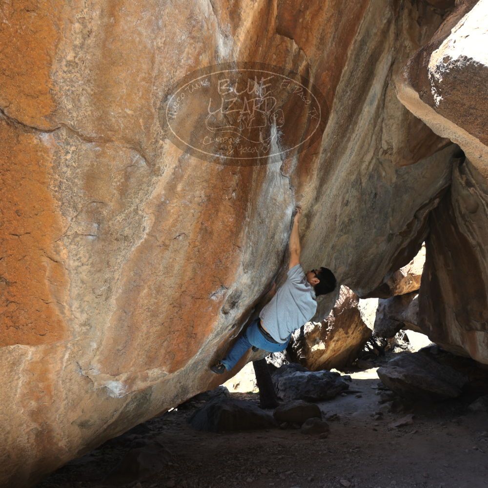 

Filename: SRM_20220213_1147020.jpg
Aperture: f/5.6
Shutter Speed: 1/250
Body: Canon EOS R6
Lens: Canon EF 16-35mm f/2.8 L