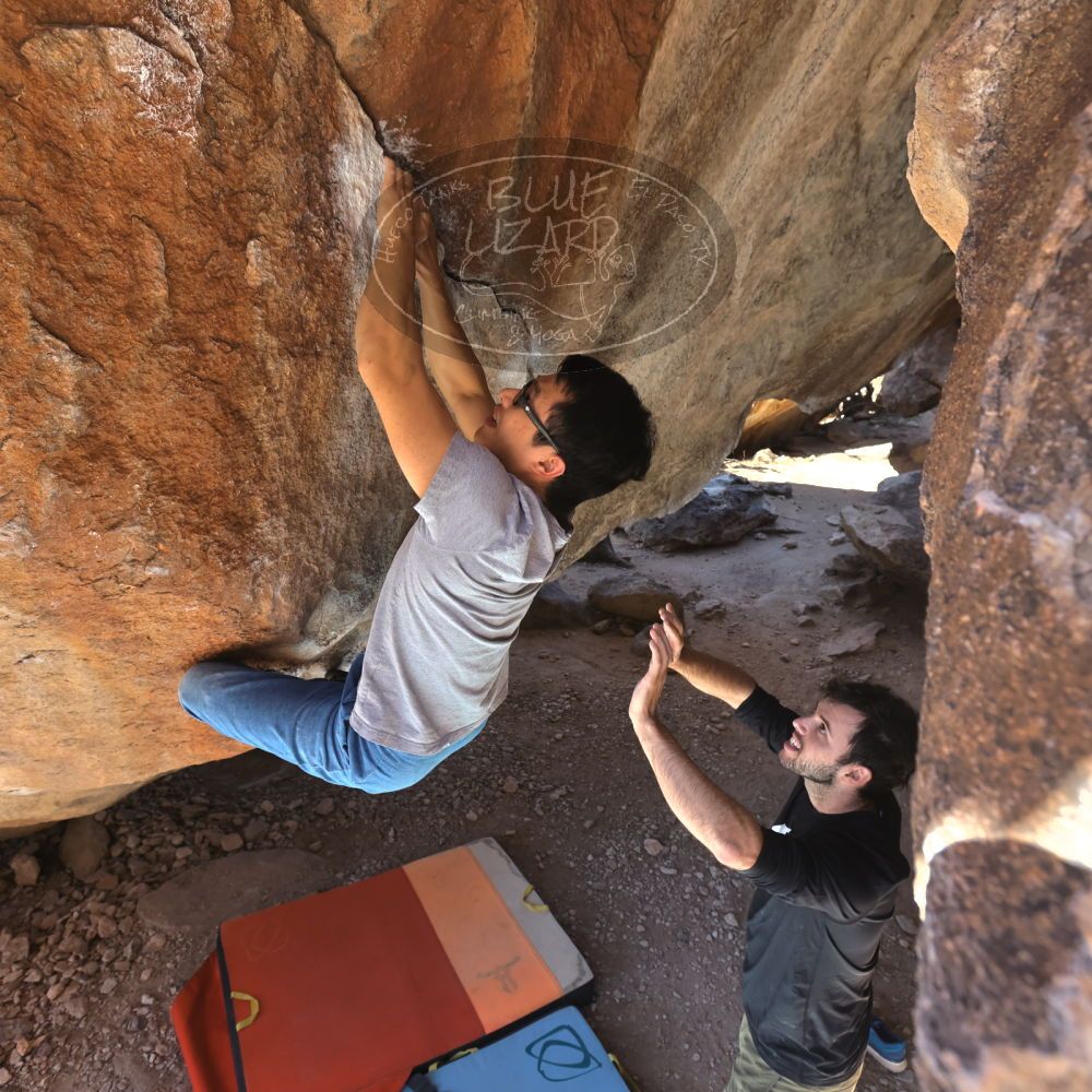 

Filename: SRM_20220213_1159290.jpg
Aperture: f/5.6
Shutter Speed: 1/250
Body: Canon EOS R6
Lens: Canon EF 16-35mm f/2.8 L