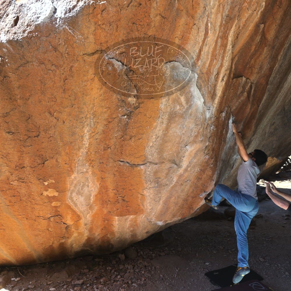 

Filename: SRM_20220213_1207240.jpg
Aperture: f/5.6
Shutter Speed: 1/250
Body: Canon EOS R6
Lens: Canon EF 16-35mm f/2.8 L