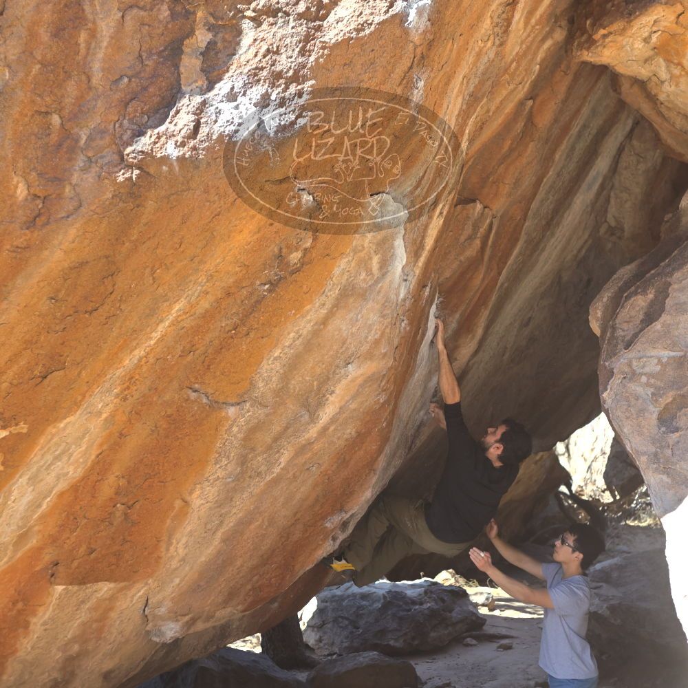 

Filename: SRM_20220213_1313420.jpg
Aperture: f/4.0
Shutter Speed: 1/1000
Body: Canon EOS R6
Lens: Canon EF 50mm f/1.8 II